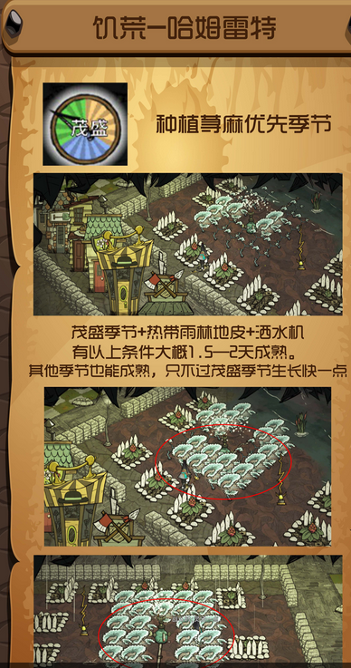 饑荒哈姆雷特蕁麻怎么種 蕁麻獲取攻略截圖