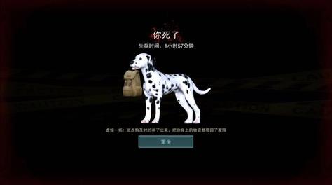新手指南！廢土行動(dòng)背包掉了怎么辦？截圖