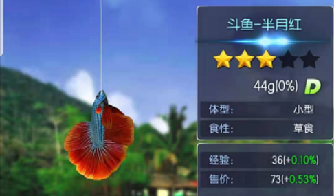 釣魚王者怎么玩萌新攻略截圖