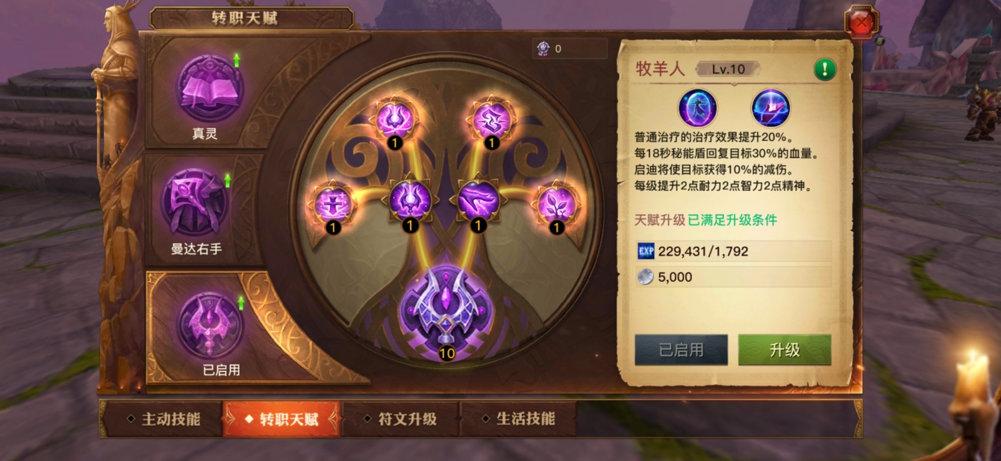 光明大陆秘术师攻略，团队的多面手截图