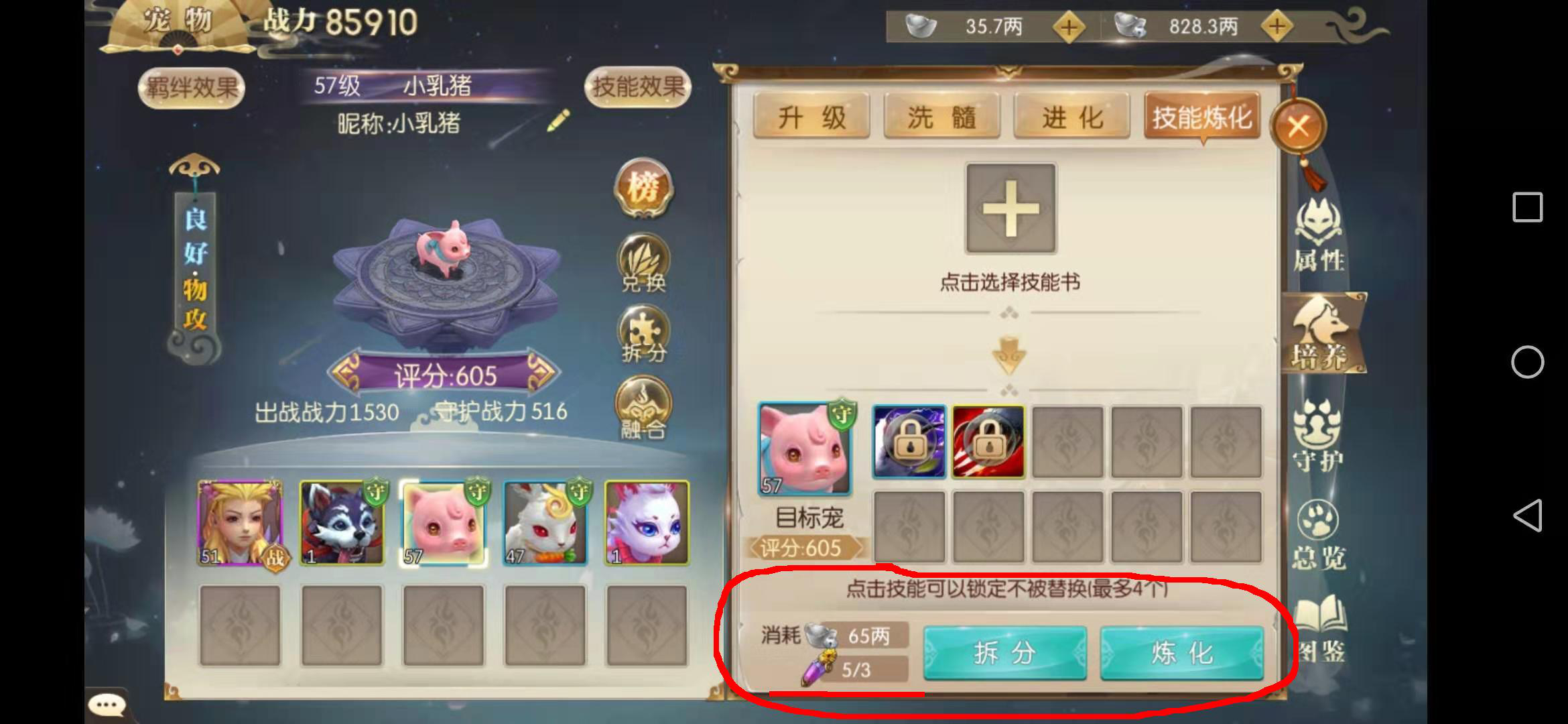 征途2手游寶寶怎么封印，魔法藥水不可少截圖
