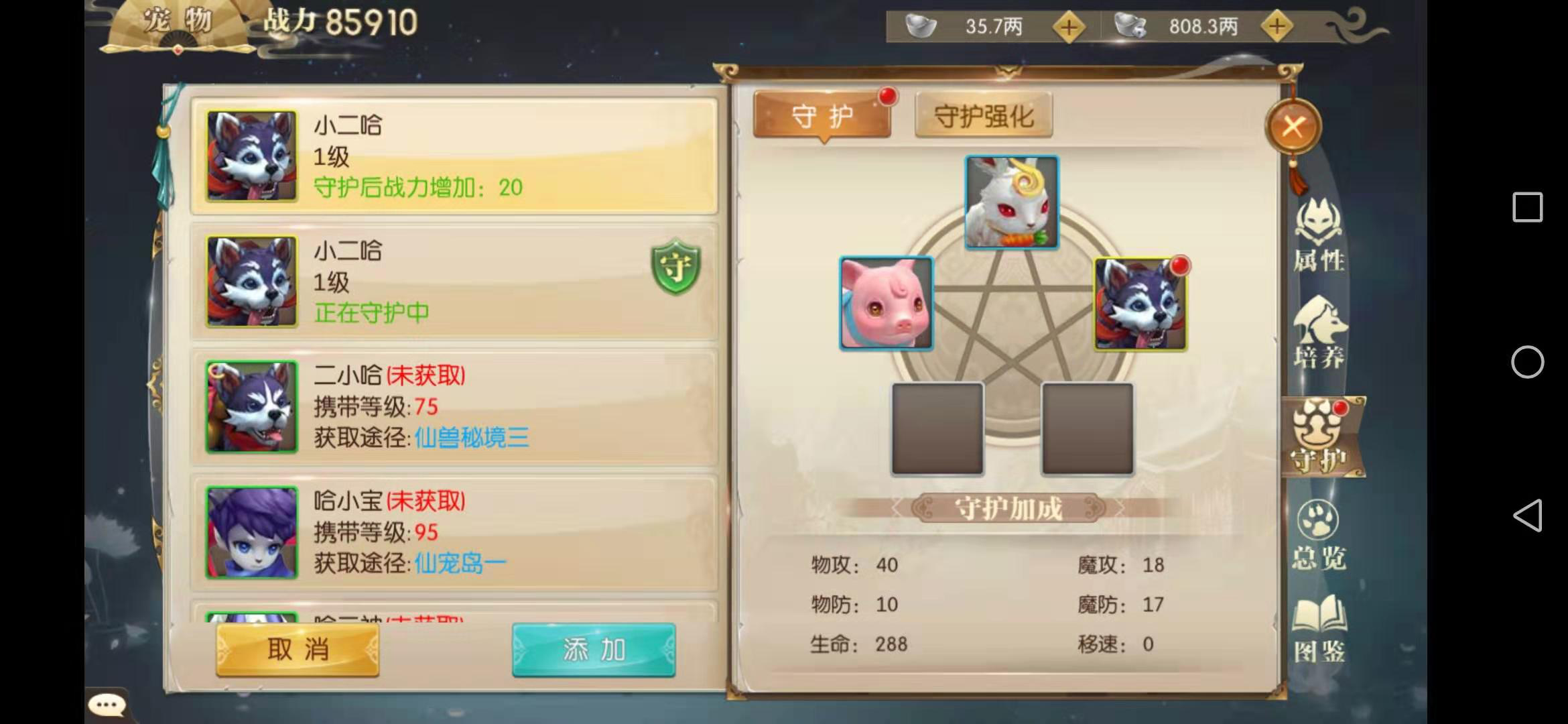 征途2手游宠物守护怎么替换，多个宠物任你选截图