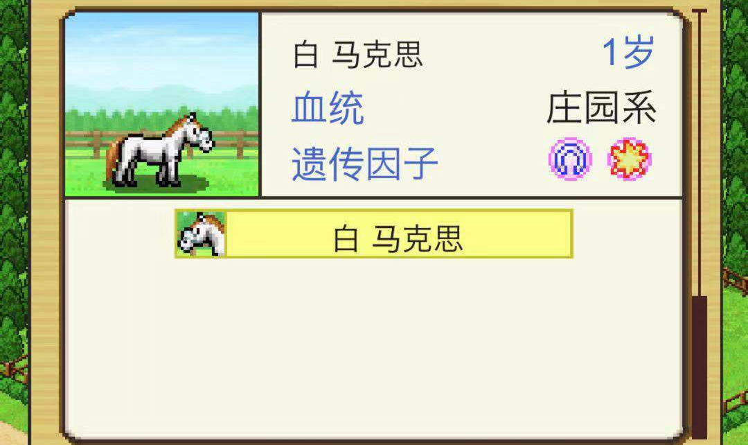如何通過特別訓(xùn)練賽 賽馬牧場物語草場怎么解鎖截圖