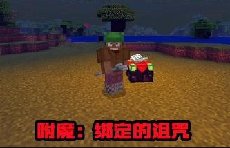 我的世界有趣的附魔書，摘不下來的綠帽子了解一下！截圖