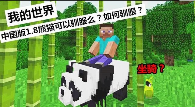 我的世界熊貓?jiān)趺瘩Z服，手把手教你騎乘熊貓截圖