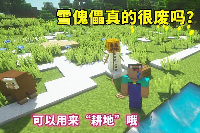 我的世界雪傀儡有什么用？猫咪和僵尸真的那么烦人和没用吗截图