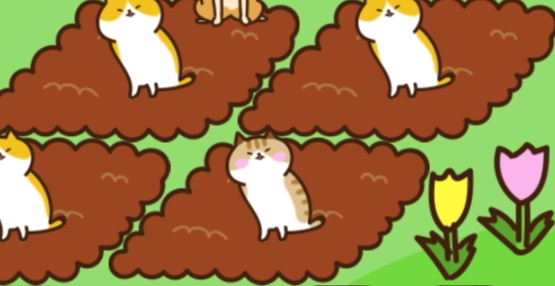 养猫乐趣多：猫咪田园怎么喂朋友截图