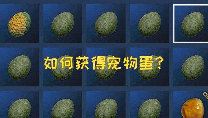 妄想山海寵物蛋怎么獲得 寵物蛋獲取方式及寵物玩法講解截圖