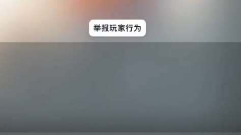 光遇举报结果哪里看 举报明细介绍截图