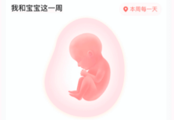 孕期软件app哪个好用2022 有什么好用的孕期APP排行榜截图