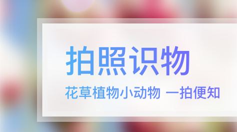 实用工具app推荐下载2022 实用的手机工具app分享截图