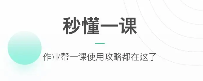 小学英语作业批改app下载大全2022 最新小学英语批改app有哪些截图