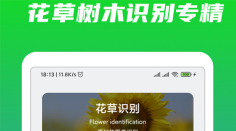 植物识别软件app哪个好2022 可以植物识别的软件有哪些截图