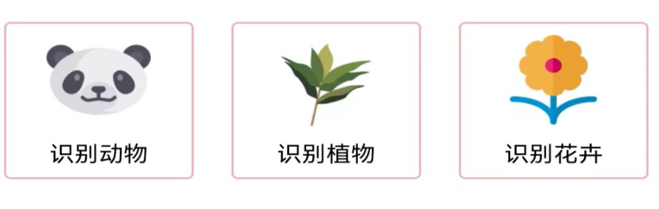 植物拍照识别软件下载2022前十 照片植物识别软件有什么截图