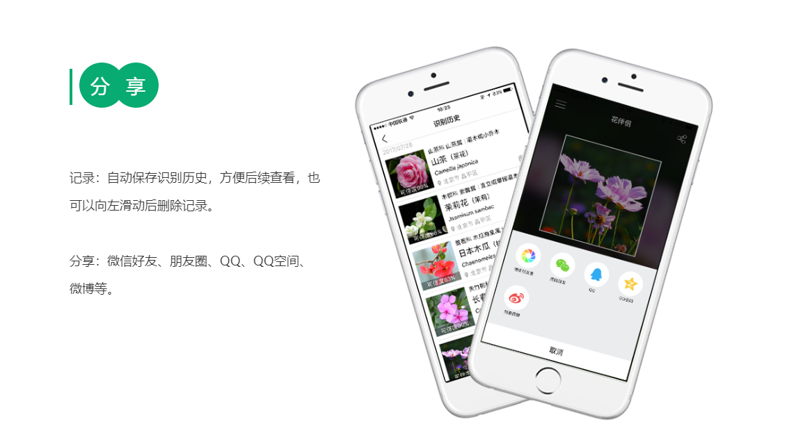 2022什么软件可以识别植物名称 可以识别植物名称的软件推荐截图