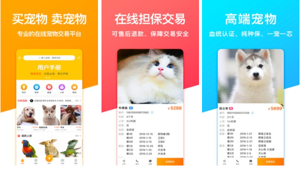 市面上好用的買貓的軟件2022