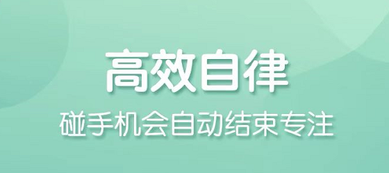 专注学习软件哪个好用2022 专注学习软件推荐截图