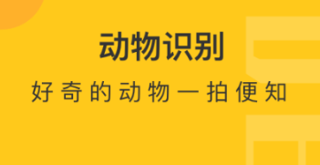 2022扫一扫识别鸟类的软件有哪些 好用的拍照识物APP推荐截图