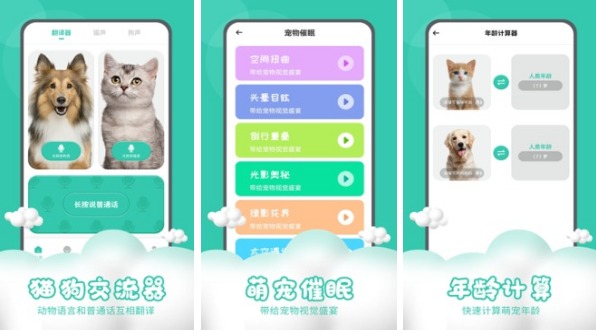 鸽子语言的软件2022 能翻译鸽子语言的软件推荐截图