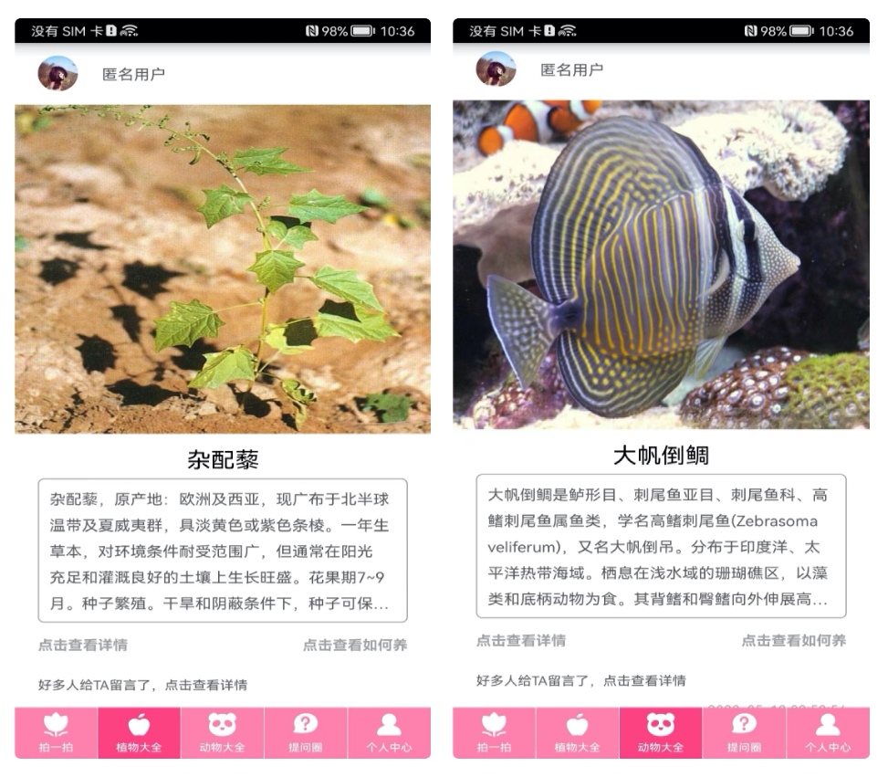 免費花草識別軟件下載安裝2022 免費的花草識別軟件大全截圖