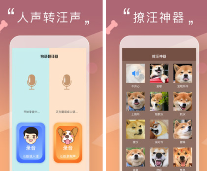 翻译狗语音的软件哪个好2022