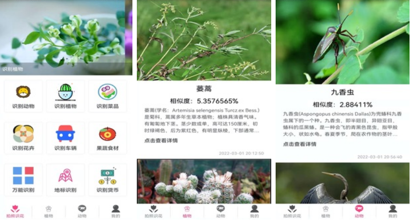 下载植物识别软件排行2022 植物识别软件有什么截图