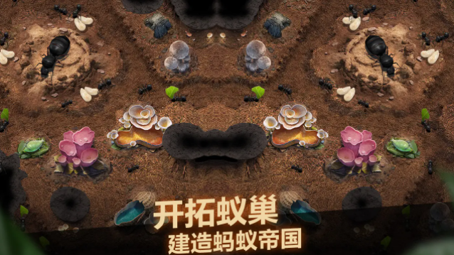 小小蟻國(guó)蟻國(guó)幣怎么用比較合理 小小蟻國(guó)貨幣使用方法及作用大全