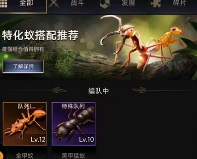 小小蟻國金螞蟻組合陣容有哪些 小小蟻國金甲蟻?zhàn)顝?qiáng)陣容搭配截圖