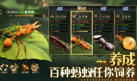 小小蚁国什么蚂蚁厉害 最值得培养的蚂蚁推荐截图
