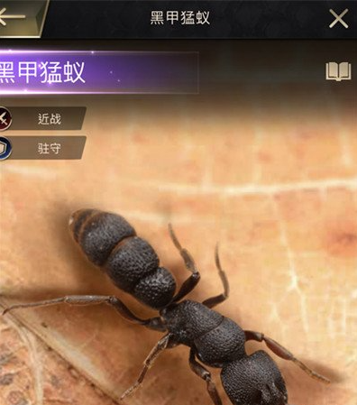 小小蚁国黑色猛蚁适合新手培养吗 小小蚁国黑色猛蚁技能解析截图
