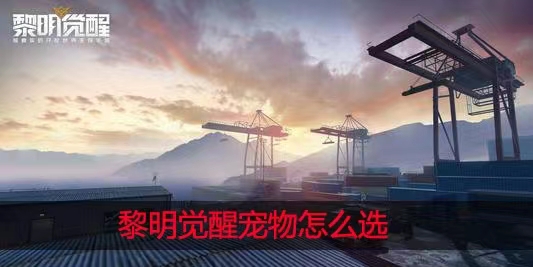 黎明覺(jué)醒寵物攻略 黎明覺(jué)醒寵物系統(tǒng)攻略