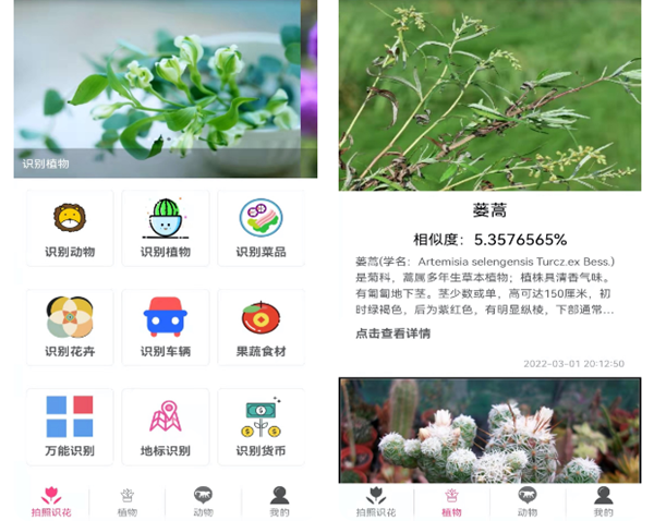 有哪些手机识别花草的app 拍照识别植物的软件推荐截图