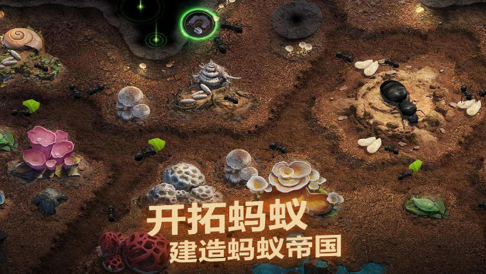 值得體驗(yàn)的螞蟻游戲大全 螞蟻主題手游推薦TOP5截圖