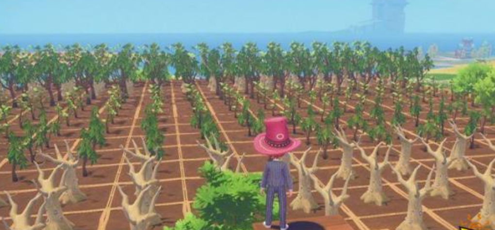 波西亞時光如何種植 種植的方式解析