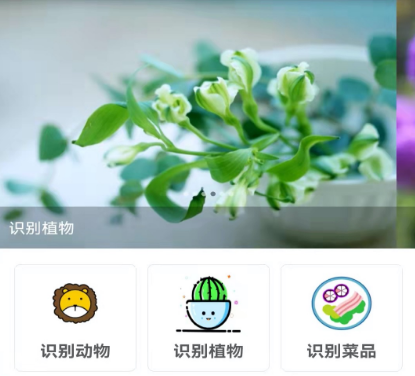好用的植物辨认扫一扫软件推荐 可以识别植物的软件有哪些截图