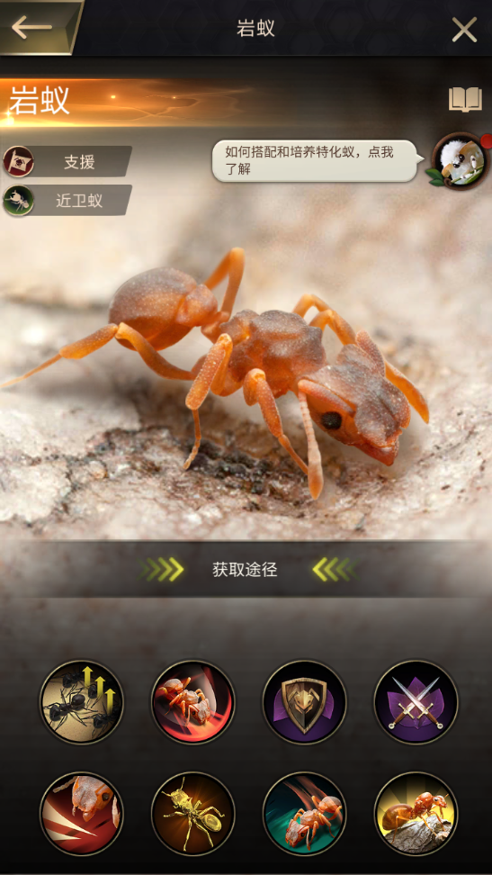 小小蟻國(guó)巖蟻好不好 巖蟻定位及技能強(qiáng)度解析截圖