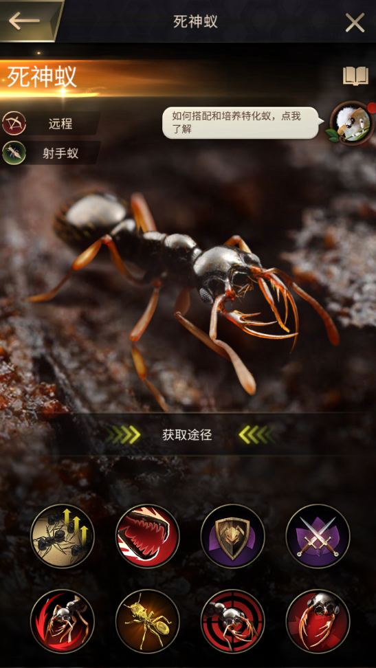 小小蟻國(guó)最好的特化蟻有哪些 特化蟻強(qiáng)度排行榜截圖