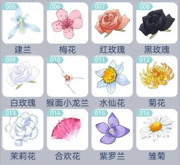 花與香水與貓種子如何獲取 種子獲取途徑一覽截圖
