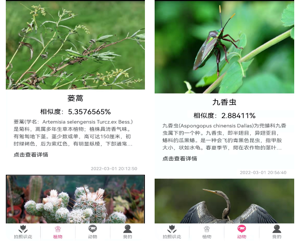 识别植物的软件哪个好用 识别植物软件下载精选合集截图