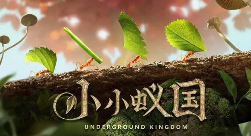小小蚁国菌怎么消耗 菌要如何使用截图