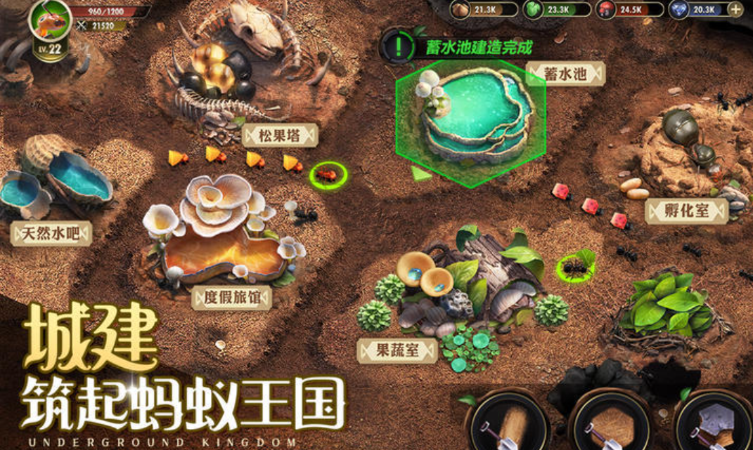 小小蟻國怎么上陣螞蟻教程 螞蟻上陣攻略大全截圖