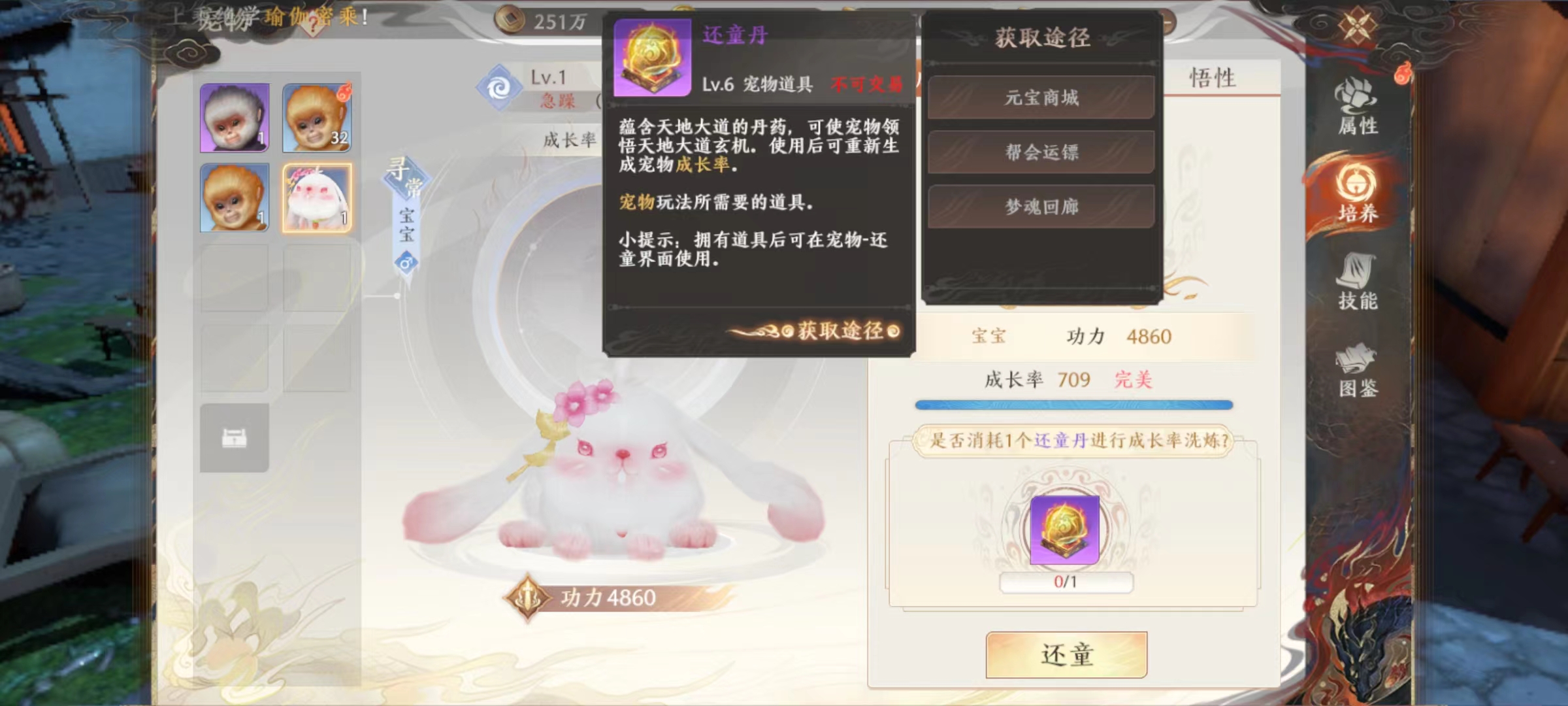 天龙八部2手游还童丹有什么用 天龙八部2飞龙战天还童丹效果详解截图