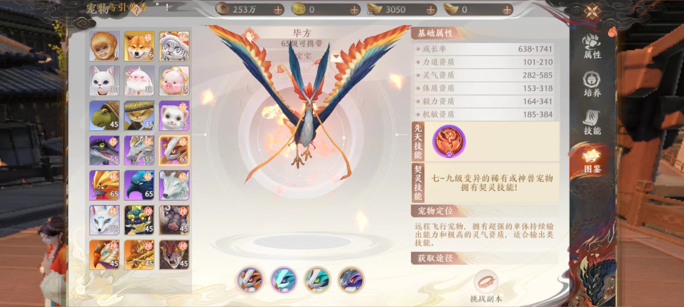 天龍八部2手游畢方怎么樣 畢方技能效果詳解截圖