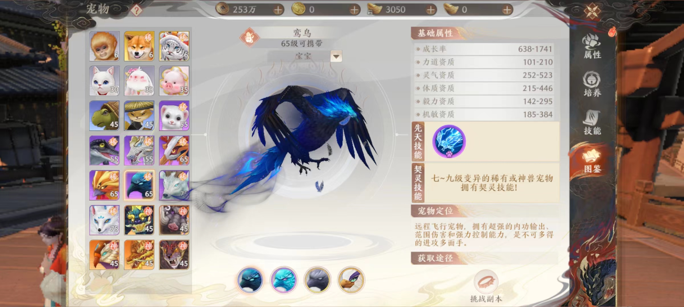 天龙八部2手游鸾鸟好用吗 鸾鸟实战强度详解截图