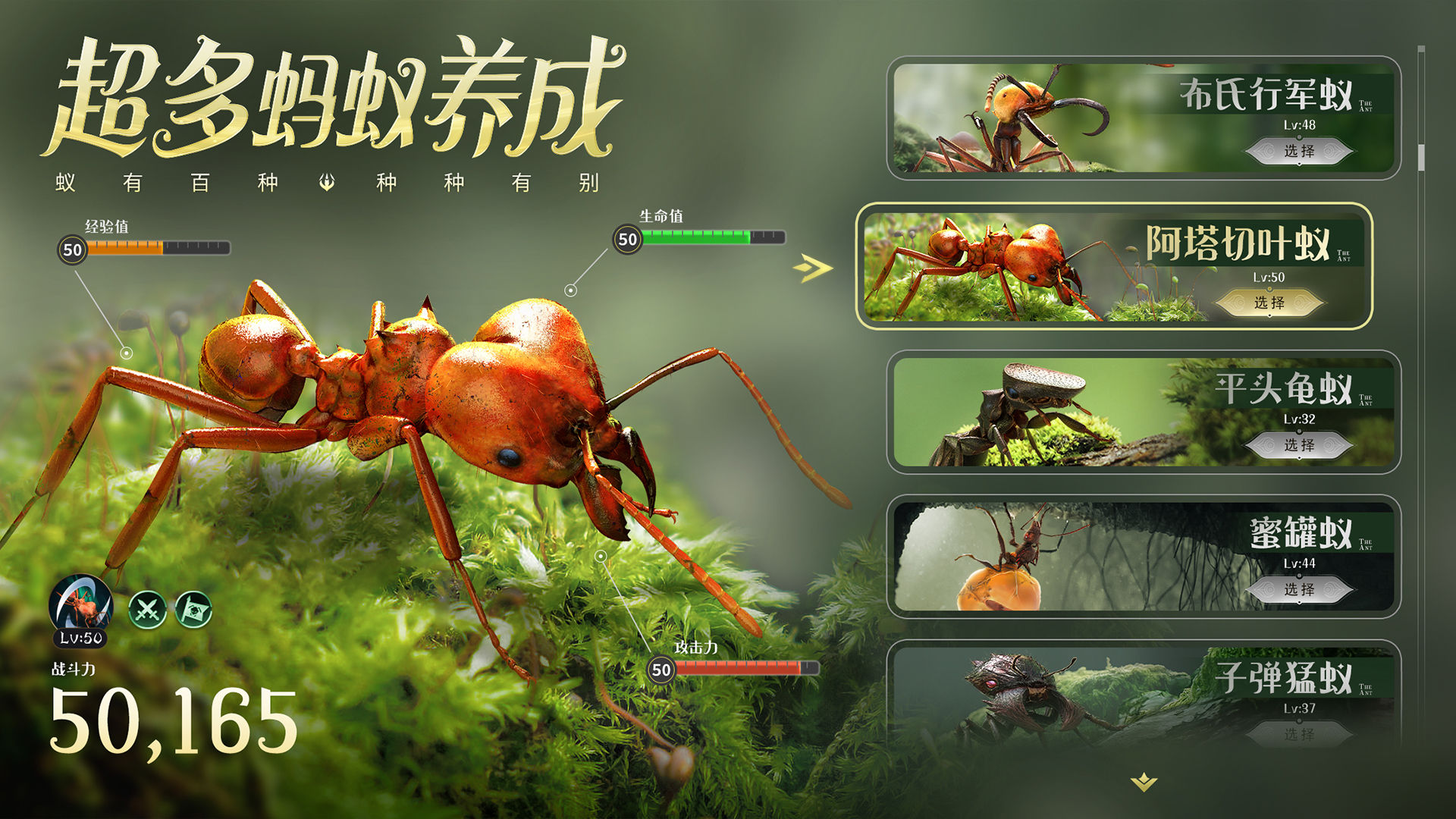蚂蚁进化3d的游戏有哪些