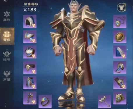 塔瑞斯世界圣騎士裝備搭配選擇 塔瑞斯世界圣騎士裝備如何選擇截圖