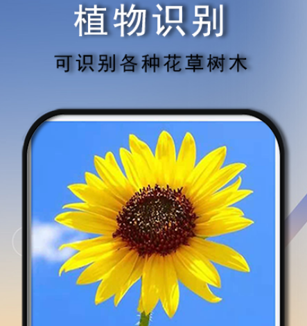 什么软件能识别图片上的文字 可以识别图片上文字的app合集截图