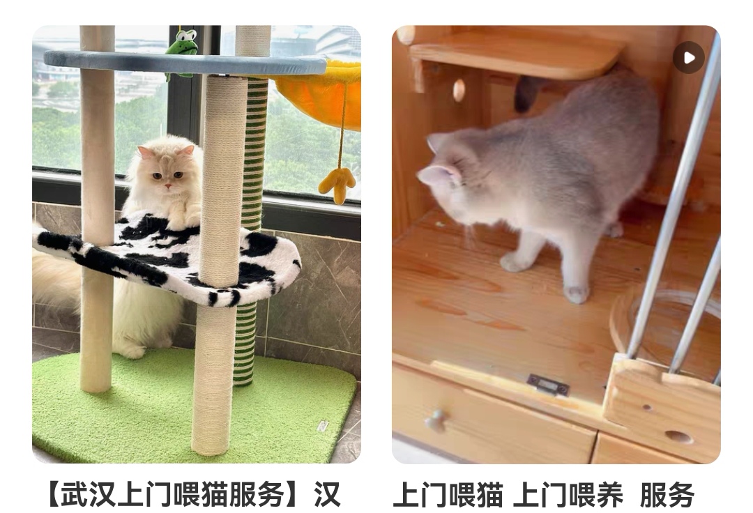 上门喂猫app哪个好 上门喂猫软件排行榜截图