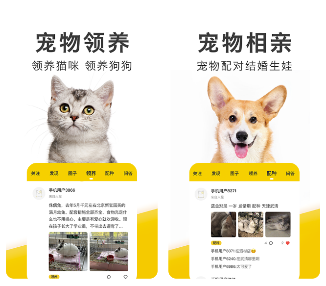 什么软件可以买宠物