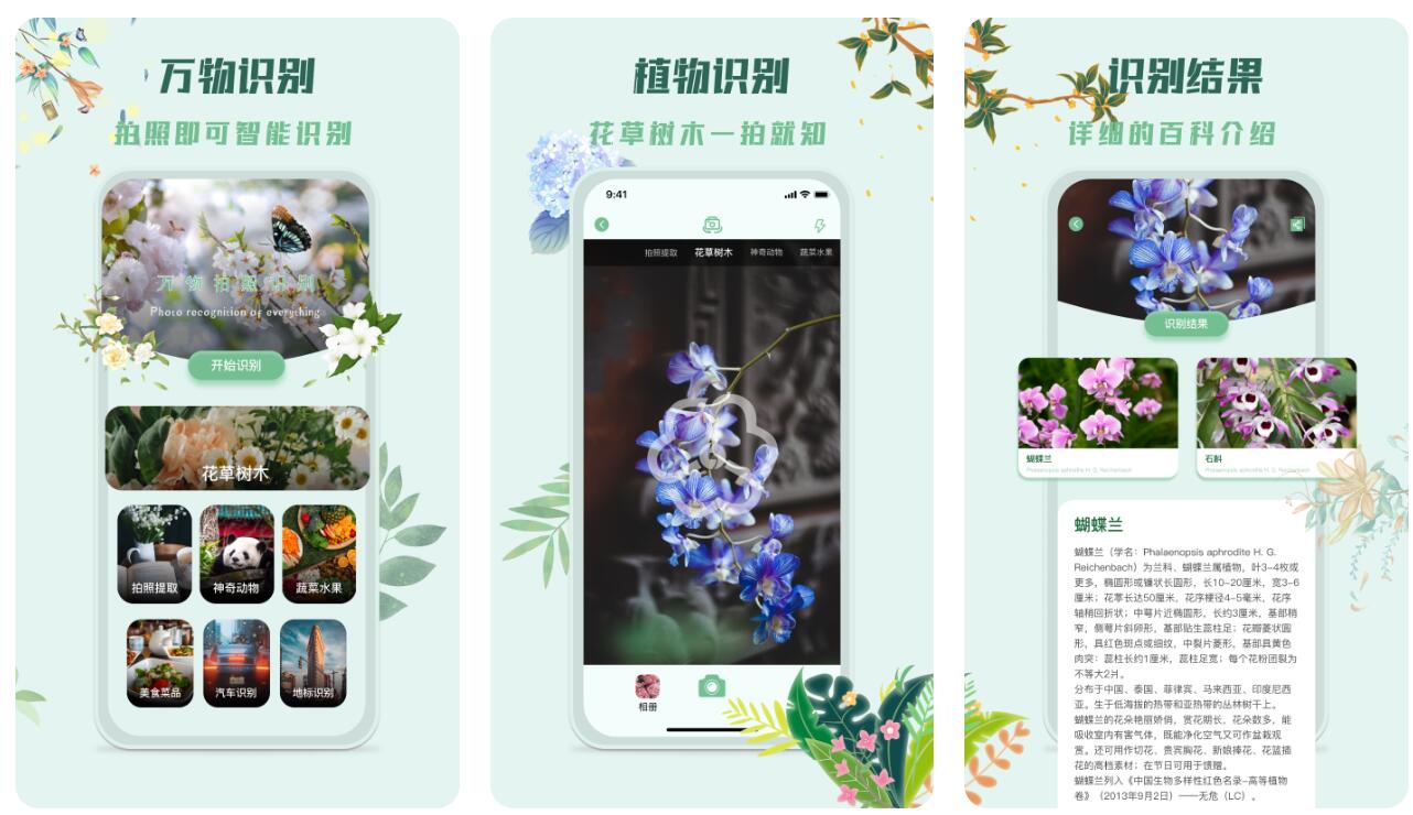 识别植物的软件合集